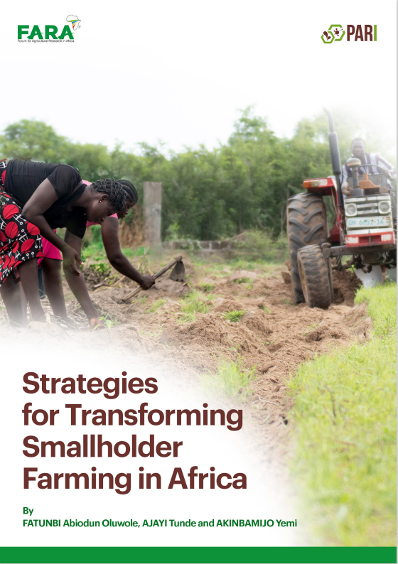 Strategies for Transforming Smallholder Farming in Africa – OFatunbi