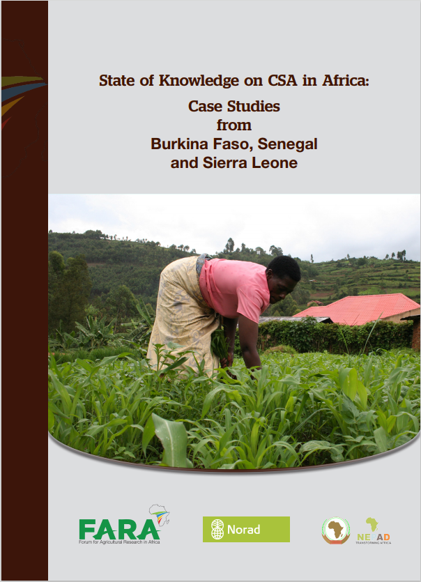 State of knowledge on CSA : Case studies from Burkina Faso, Senegal, Sierra Leone