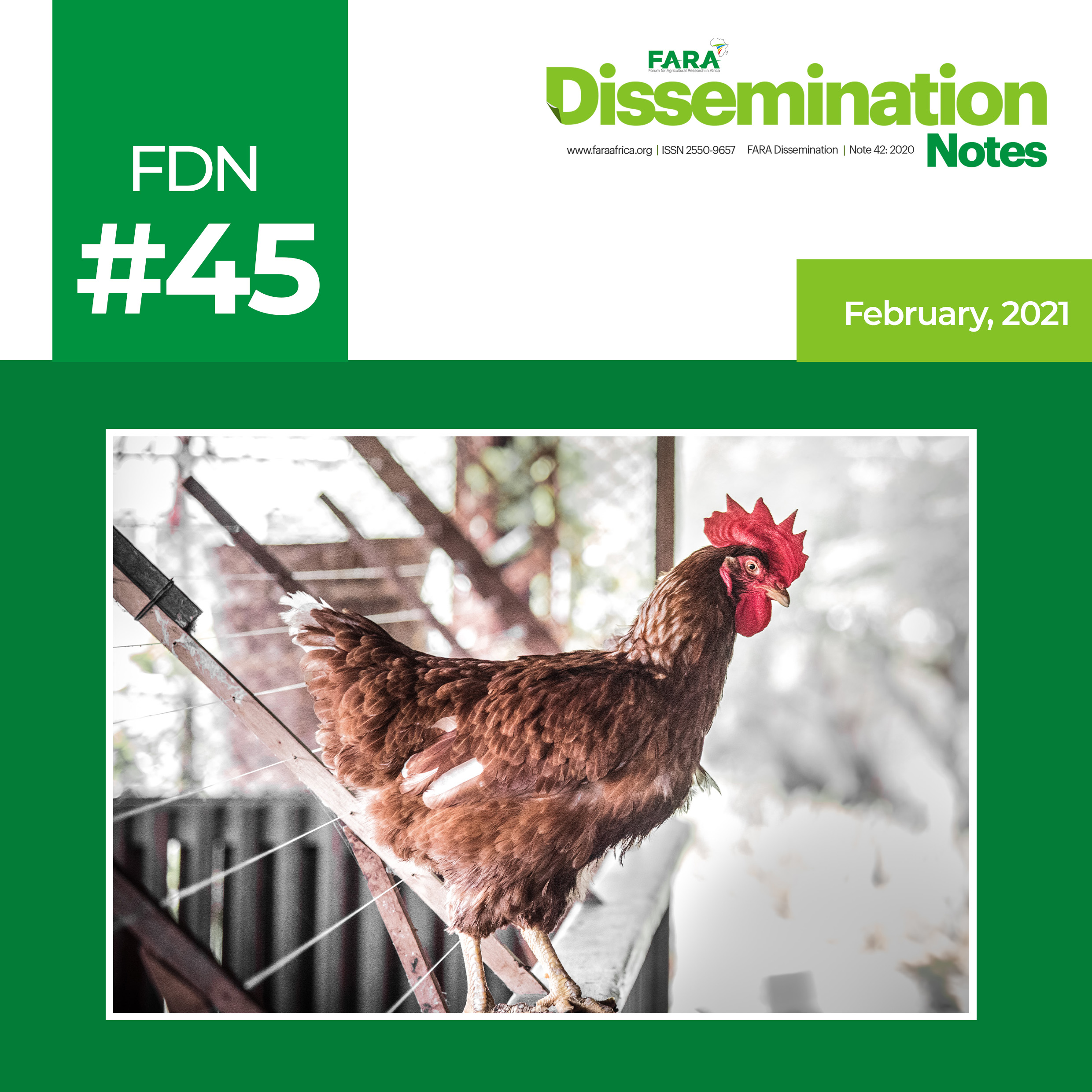 FDN 45_2021 – The case of Poultry (Mother Brooder Units) Technology