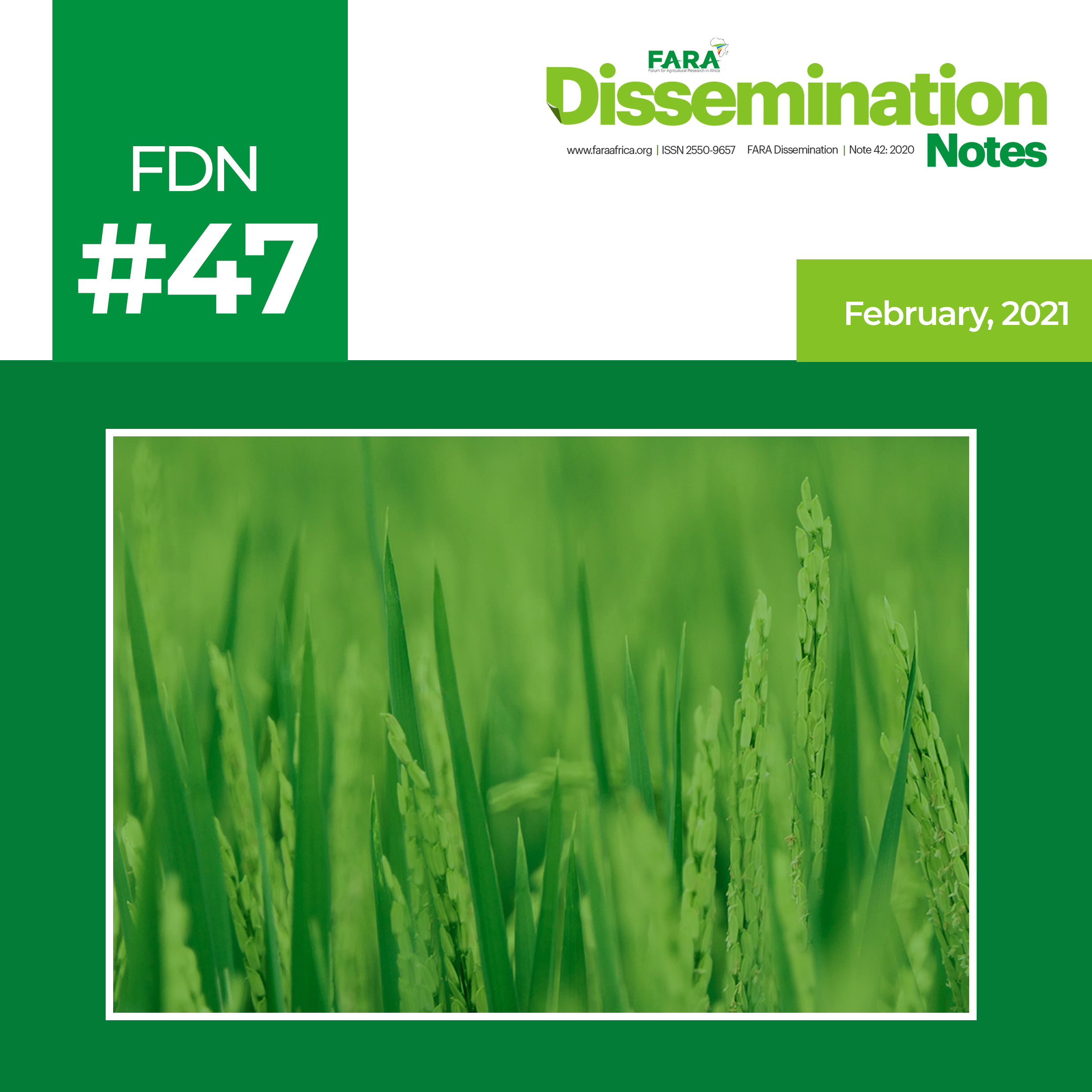 FDN 47_2021 – The case of Rice Technology -FARA-TAAT