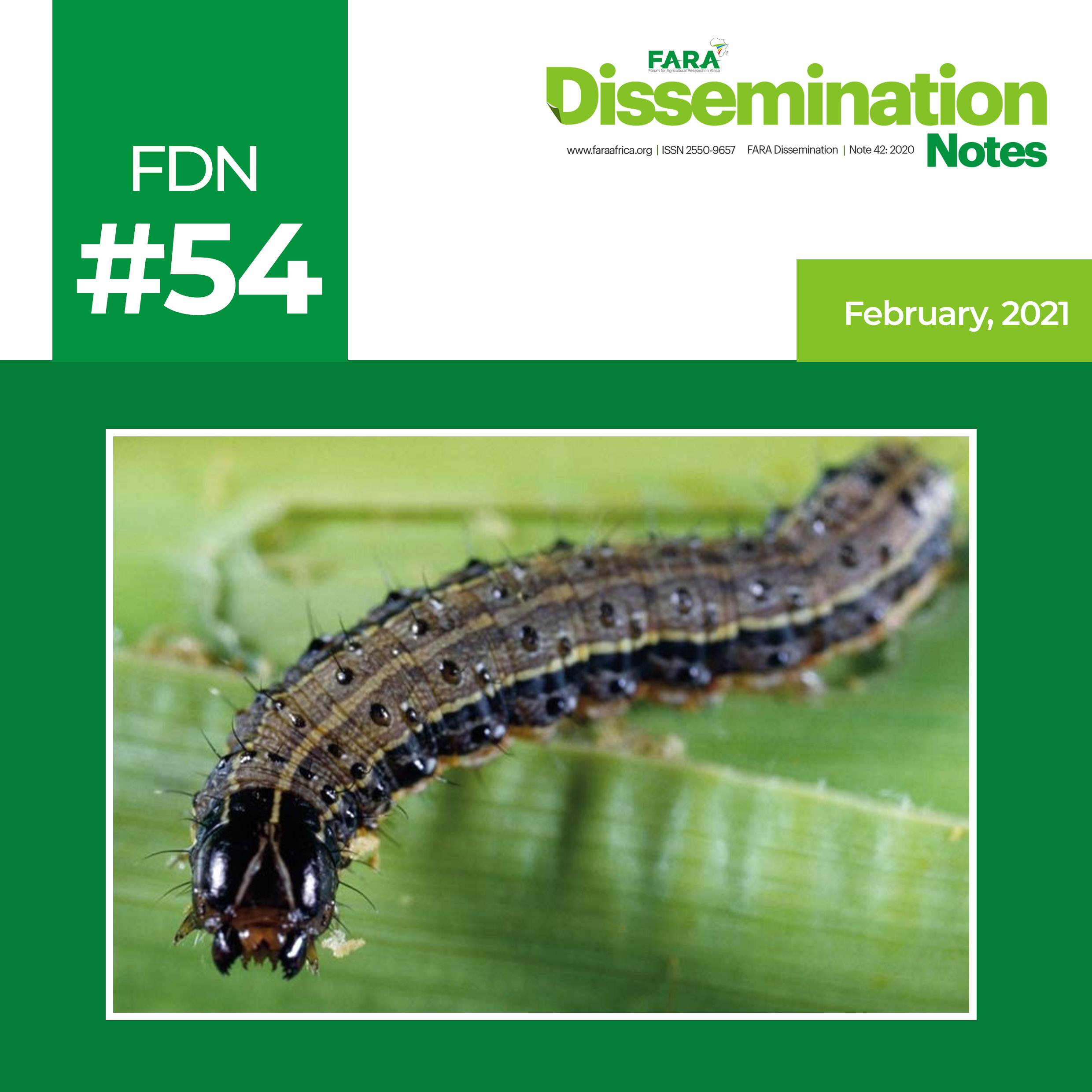 FDN 54_2021 – FAW identification illustrated guide -TAAT