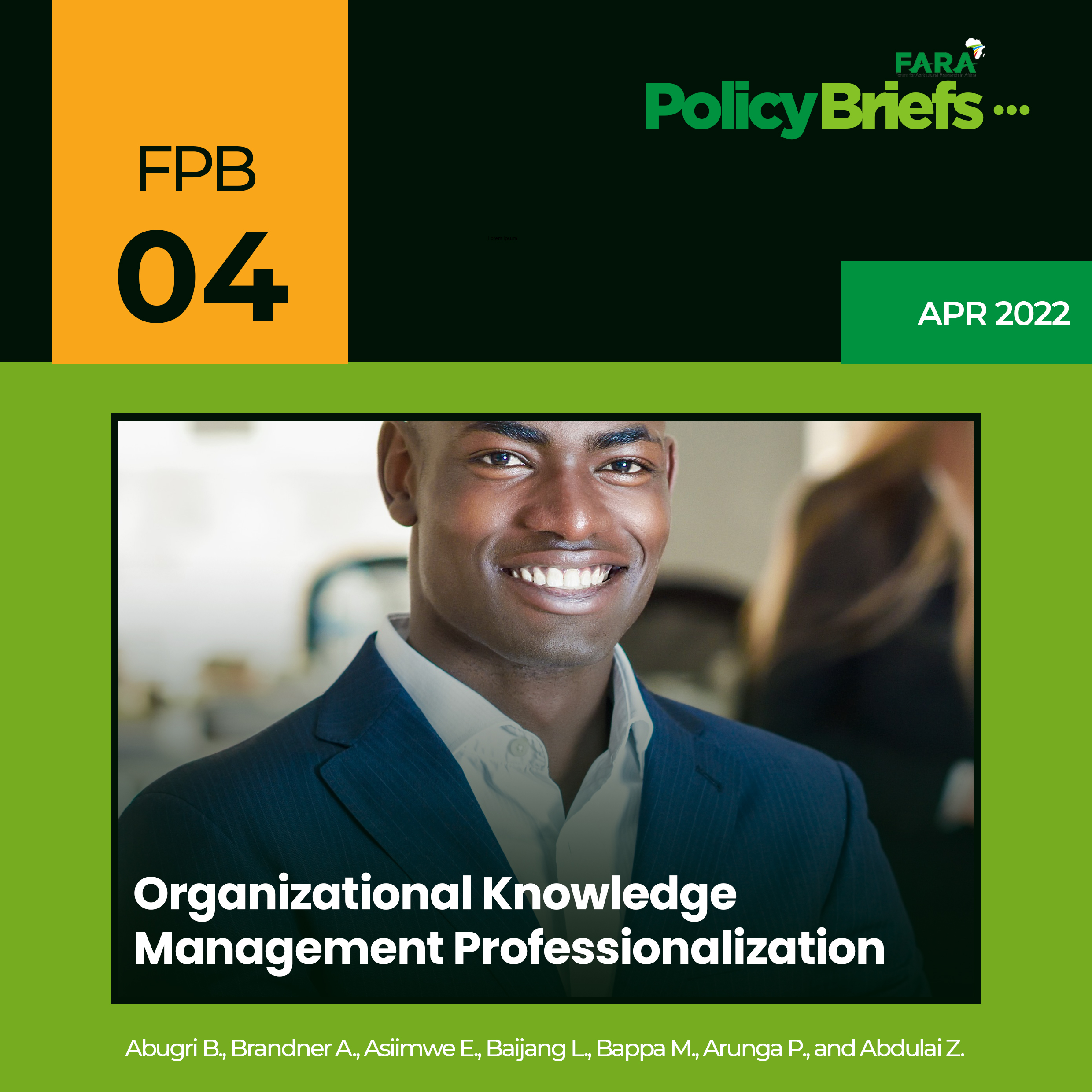 Organizational Knowledge Management Professionalization
