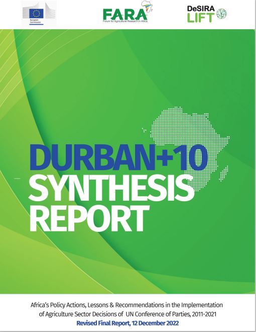 synthesis Report