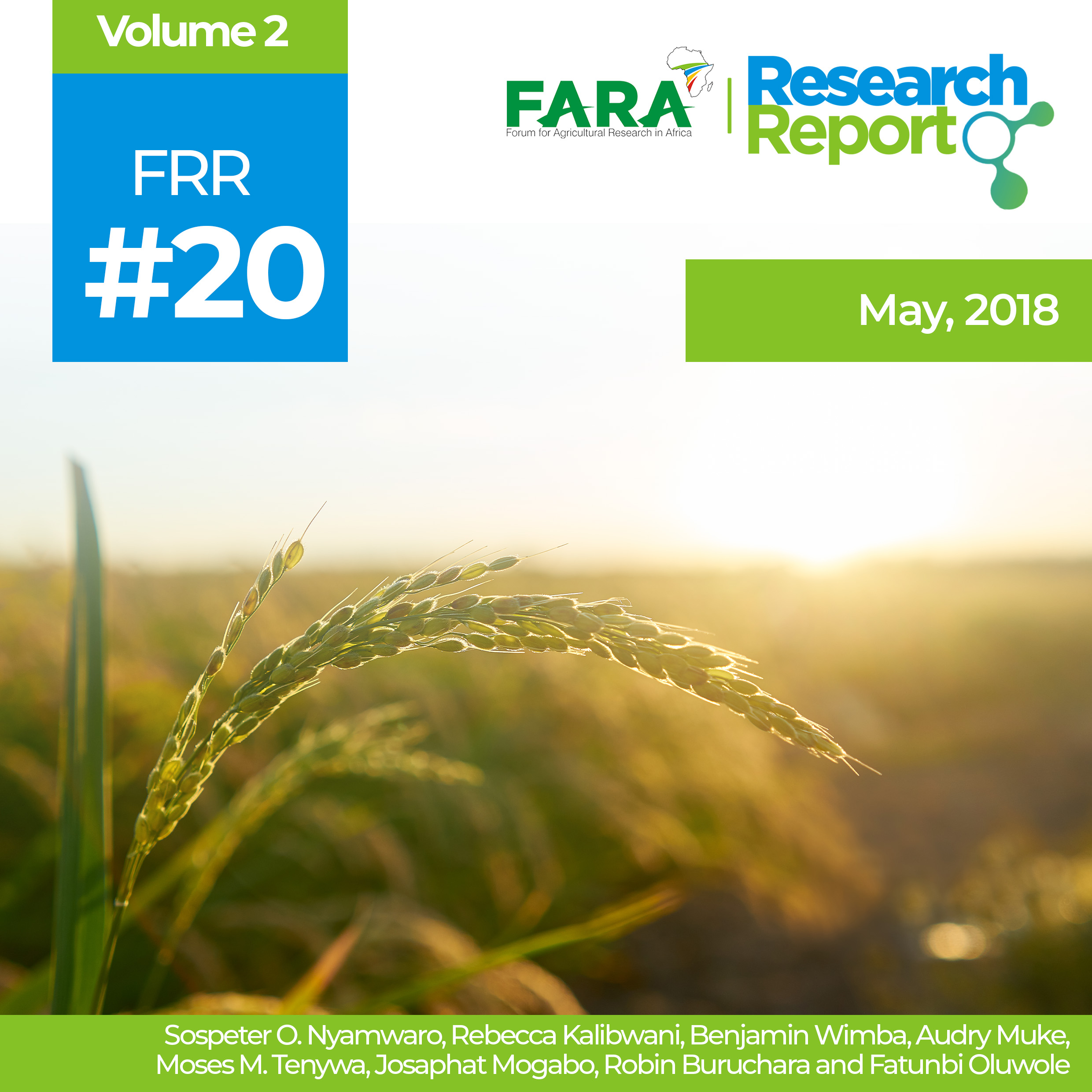 Innovation Opportunities in Bean Production in the DR Congo. FARA Research Reports Vol 2 (20): pp 16.