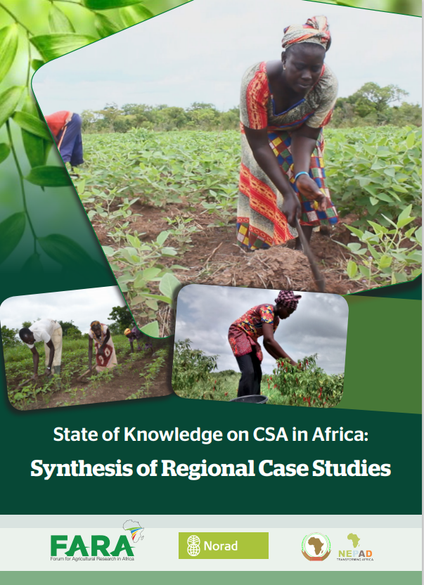 State of Knowledge on CSA in Africa: Synthesis of Regional Case Studies