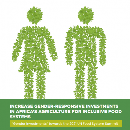 FARA POLICY BRIEF_Increase Gender Investments in AR4D