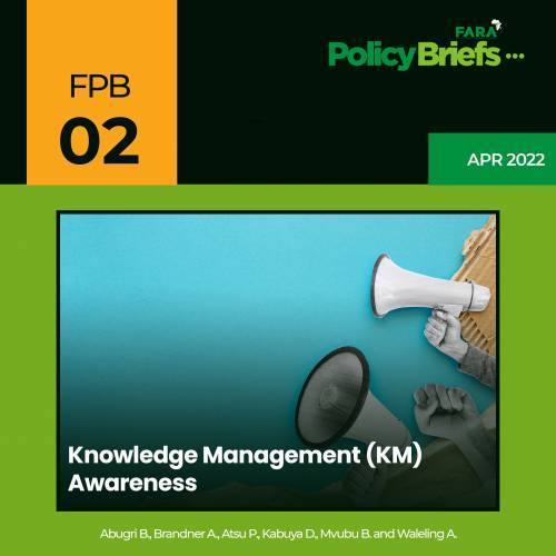 Knowledge  Management (KM) Awareness Thematic Policy Brief