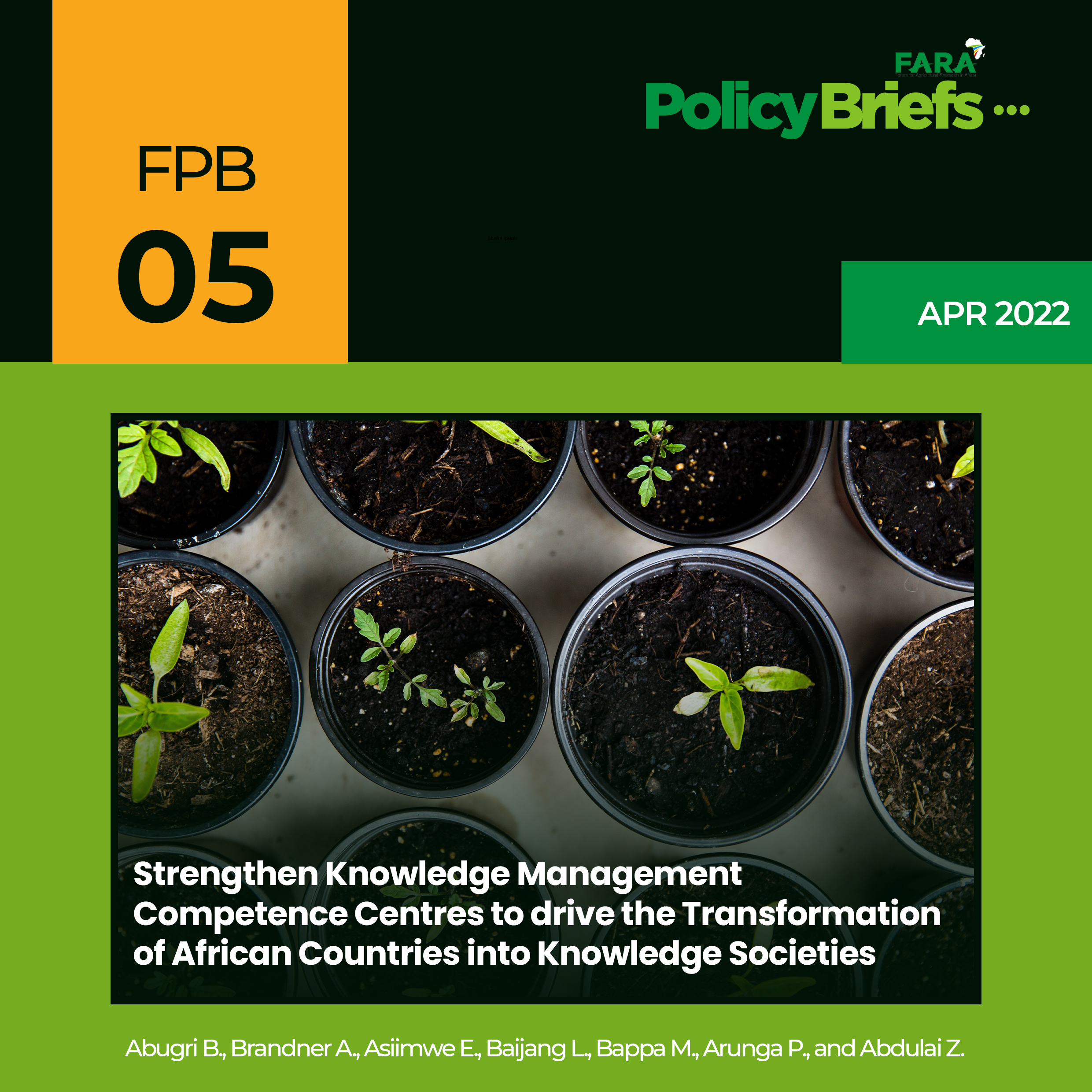 Strengthen Knowledge Management Competence Centres to drive the Transformation of African Countries into Knowledge Societies